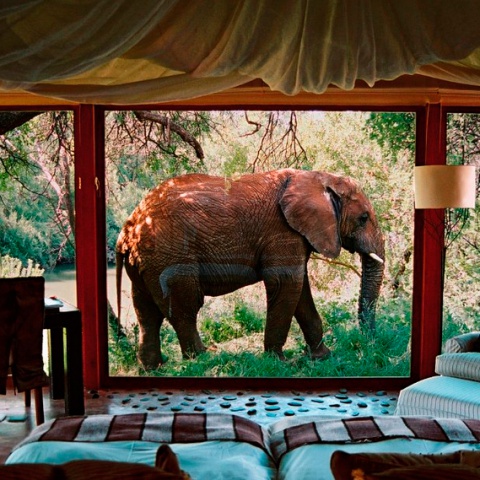 Viaje a Kenia para dos personas